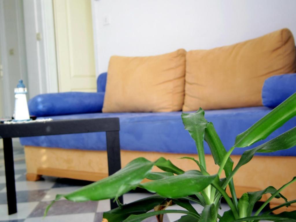 Apartments Capitano Blue Zaton  Rum bild
